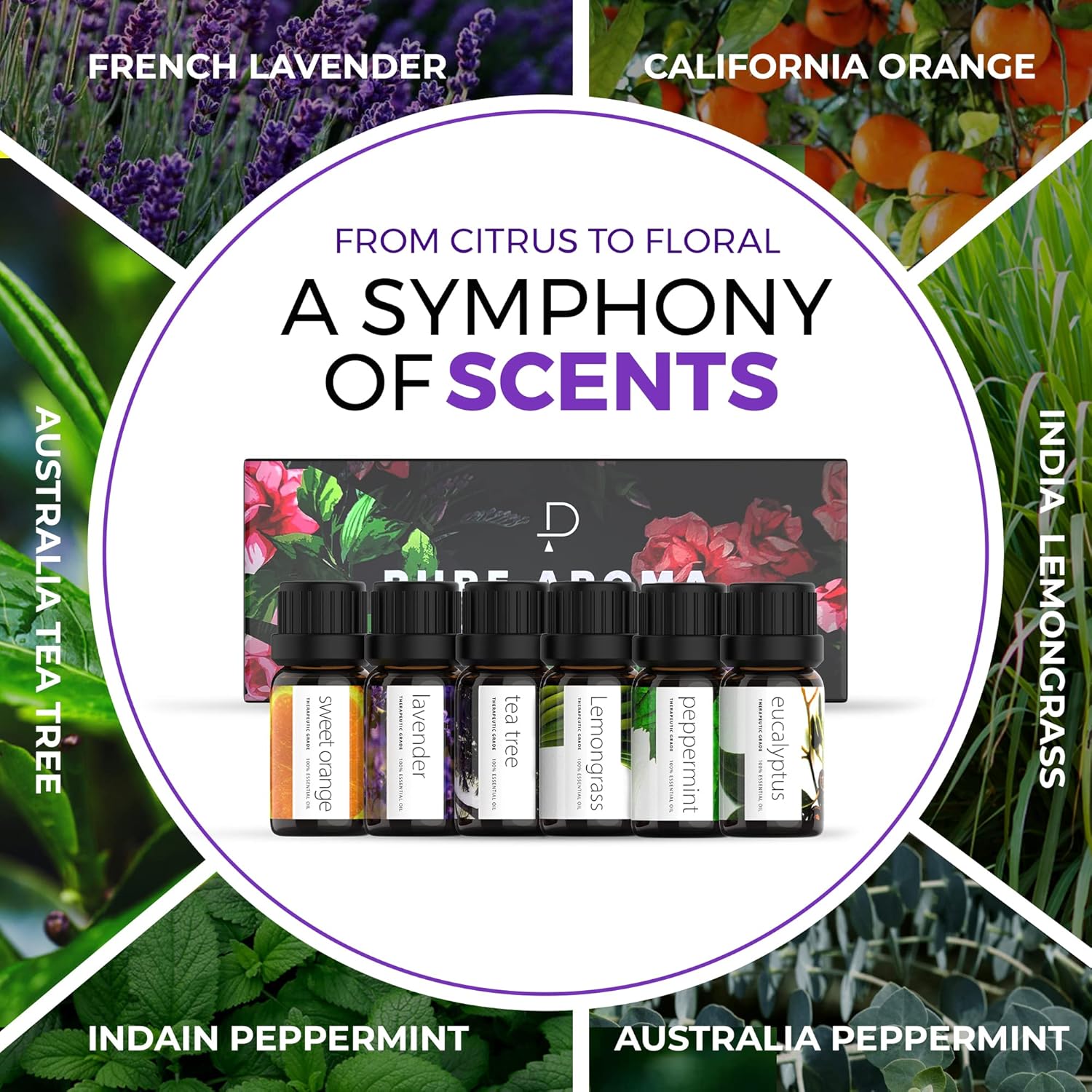 Aromatherapy Essential Oils Set – 6 Pack (10ml) of Pure Oils | Relaxing Blends of Lavender, Eucalyptus, Peppermint, Tea Tree, Sweet Orange & Lemongrass
